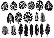 Set of tropical leaves